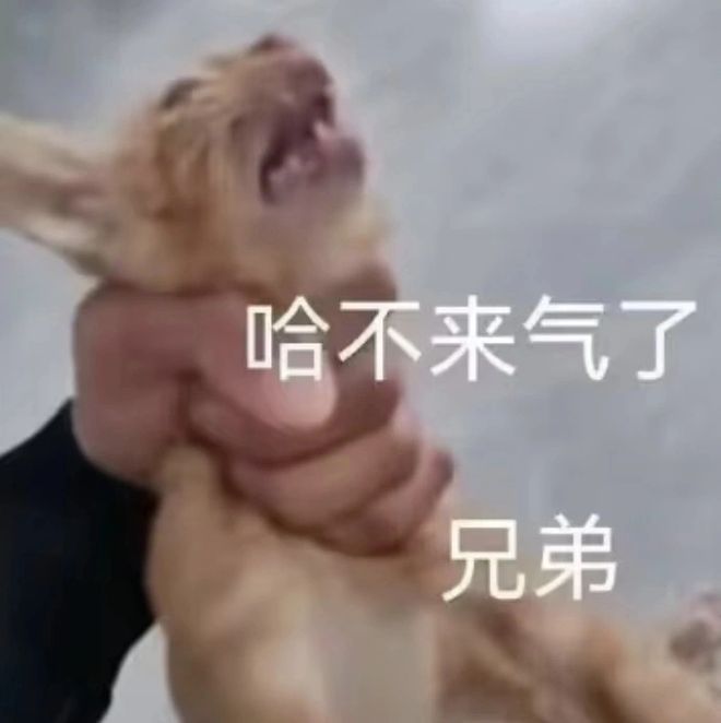 影片的大罪人监狱都被民间礼物塞满了…不朽情缘平台推荐给日本人提供不打码(图13)